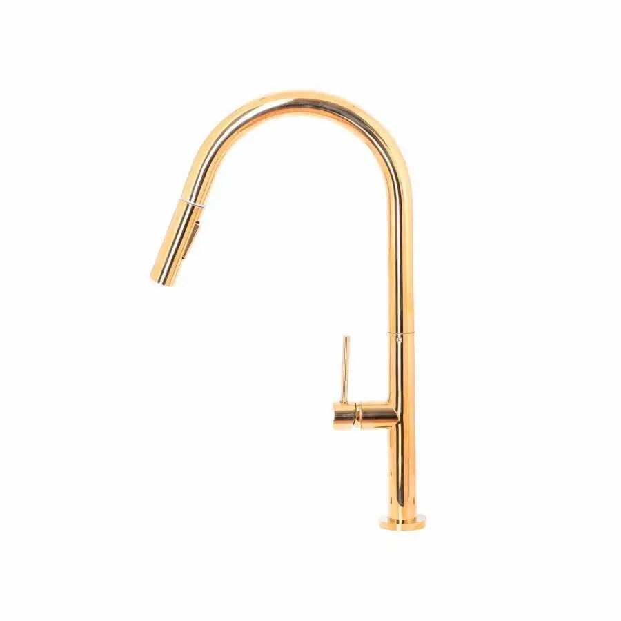 Кухненска батерия с извлечен душ, санитарен месинг, злато, CF2043