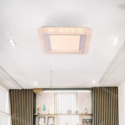 LED Ania таван, 48W, бяла, студена/гореща/неутрална светлина