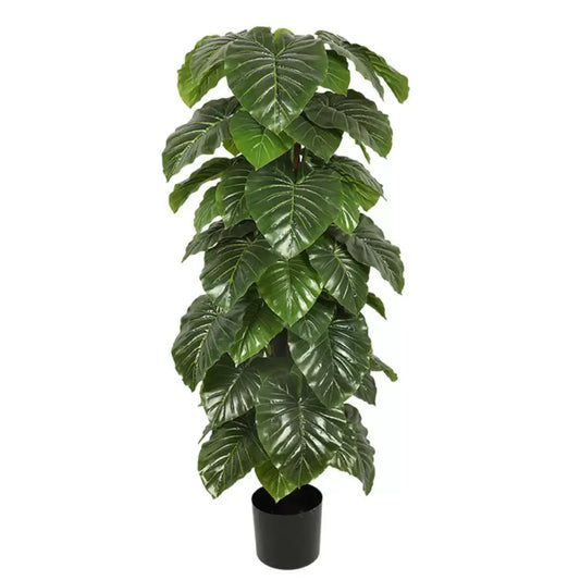 Изкучно растение Philodendron, № 140 см зелени саксии