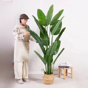 Изкуствен растителен пасаж на рая (Strelitzia nicolai), 11 листа, без саксии, 160 см зелено