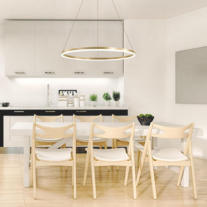 Окачен LED полилей, ANINA, 34W, 1 кръг, диаметър 49 см, студена/топла/неутрална светлина 3000K/4000K/6000K, възможност за димиране, блестящо златисто бяло, регулируема височина, метал и акрил