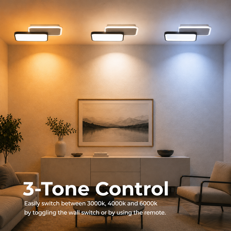 LED полилей с дистанционно управление на Carolina 50W, 2 елемента, студена/гореща/неутрална светлина, проклет, черно