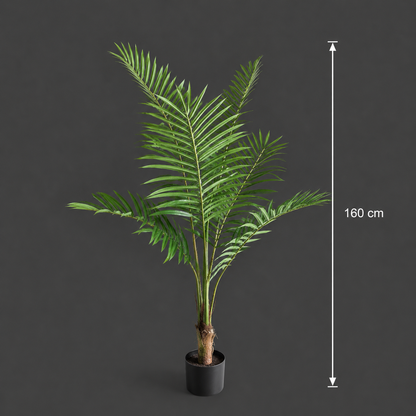 Decorațiune Howea Forsteriana, 160 cm, 7 frunze, Verde