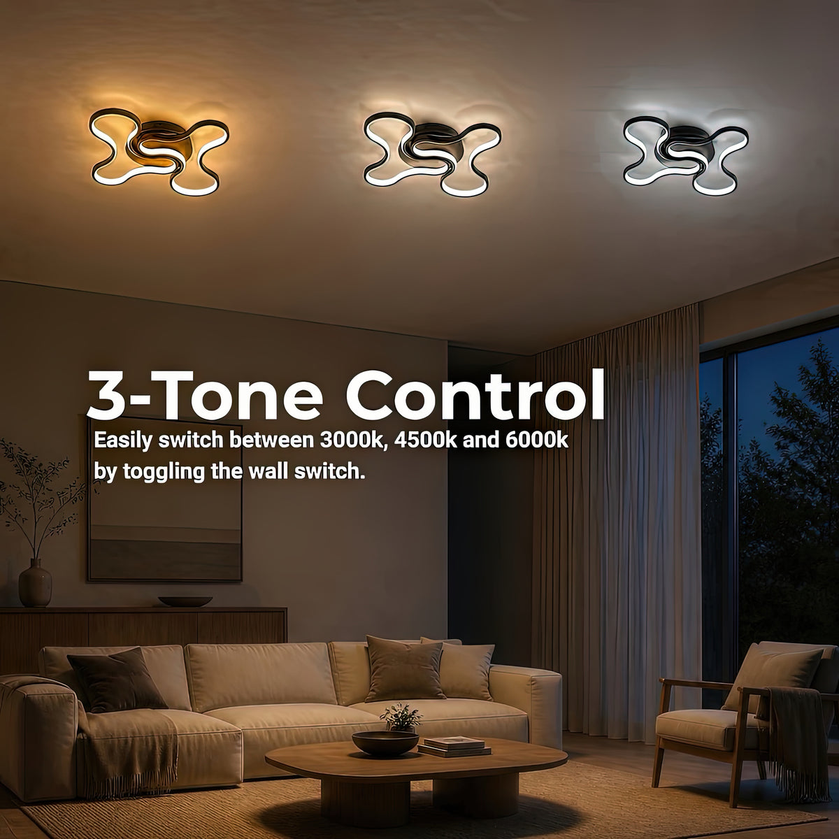 LT1022_2BK — LT1022_2BK - 4. 3-TONE CONTROL.jpg
