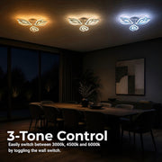 LT230_3WH — LT230_3WH - 4. 3-TONE CONTROL.jpg