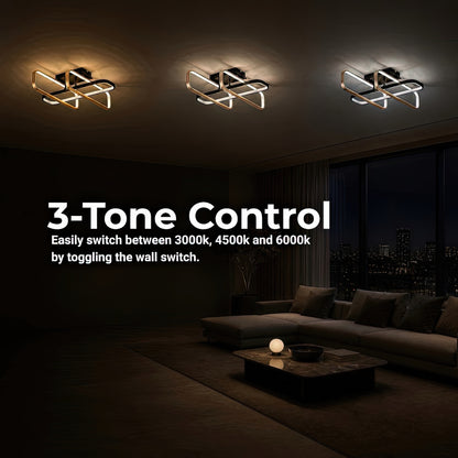 LT254_3BK — LT254_3BK - 4. 3-TONE CONTROL.jpg