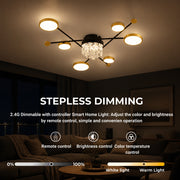 LT600_7BKGD DIMMING