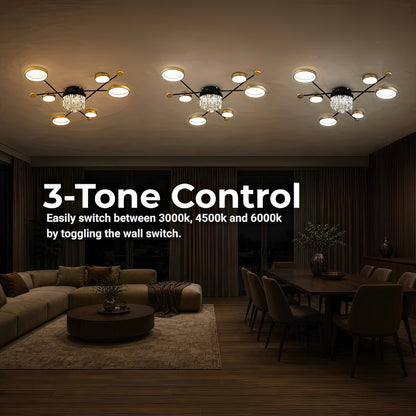 LT600_7BKGD TONE