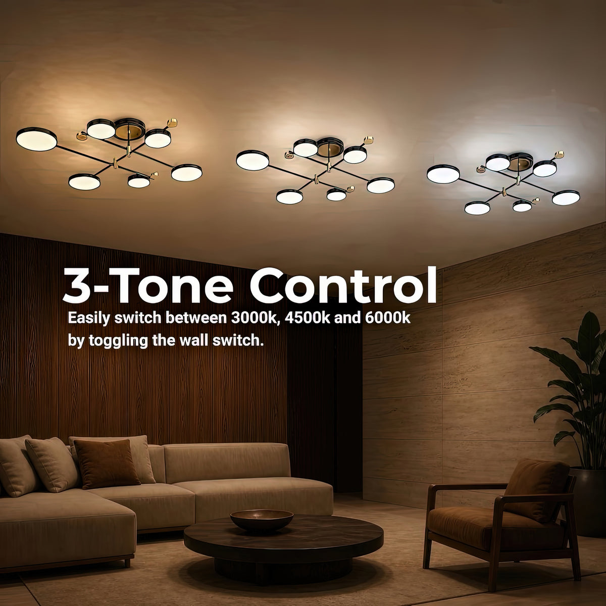 LT721_6GD — LT721_6GD - 4. 3-TONE CONTROL.jpg