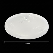 LED Casey 30W LED таван