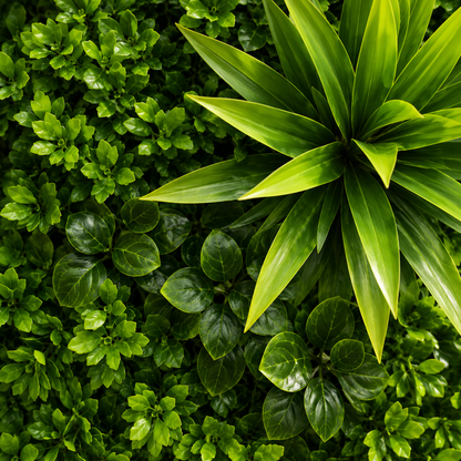 Panou de Gard Viu Artificial Cimișir, 100 x 100 cm, Verde