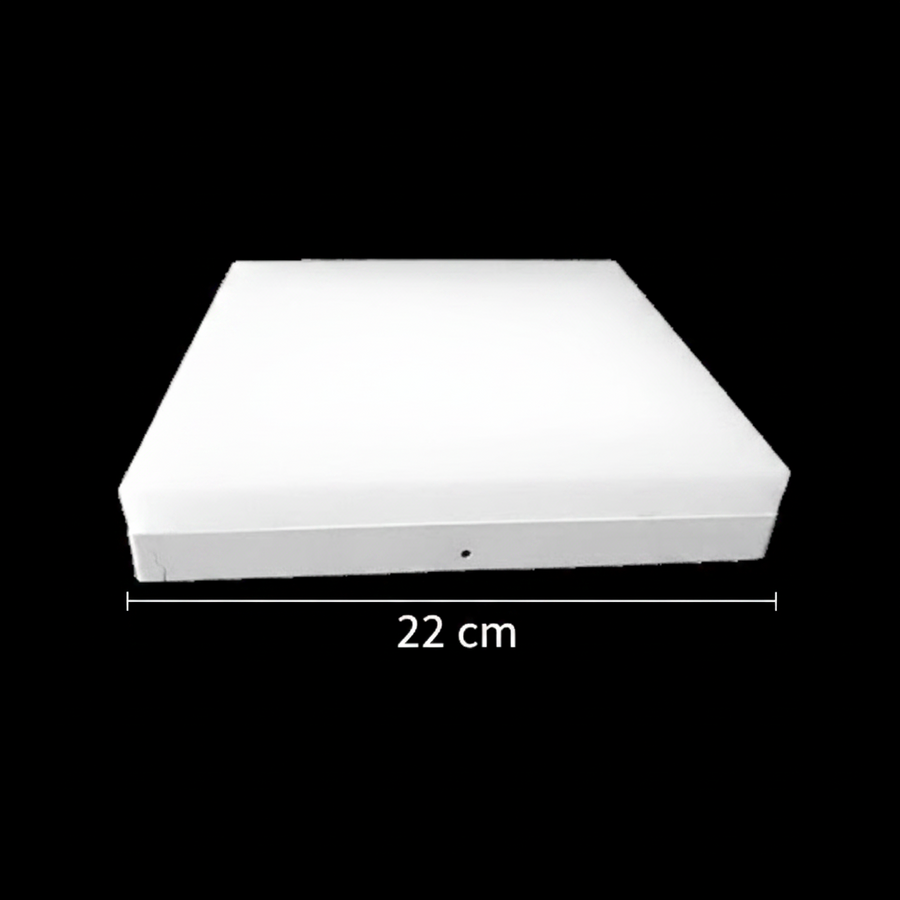 LED таванна лампа PL200/12P 19W Cool Light 6000k Бяла LED таванна лампа Заглавие по подразбиране Alessandro Design