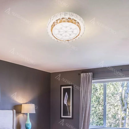 LED LED CRISTAL LED със сребърна абатия Lealcomanda 24W