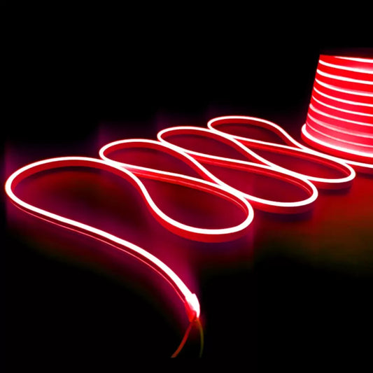 Neon Flex Red 2835 12V IP65