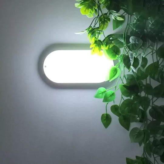 LED таванна лампа FANTAS Oval 8W 17cm Бяла външна IP65 LED таванна лампа Заглавие по подразбиране Alessandro Design