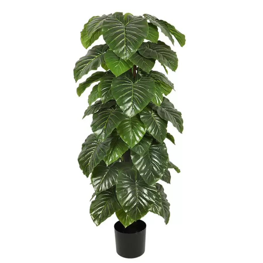 Изкучно растение Philodendron, № 140 см зелени саксии